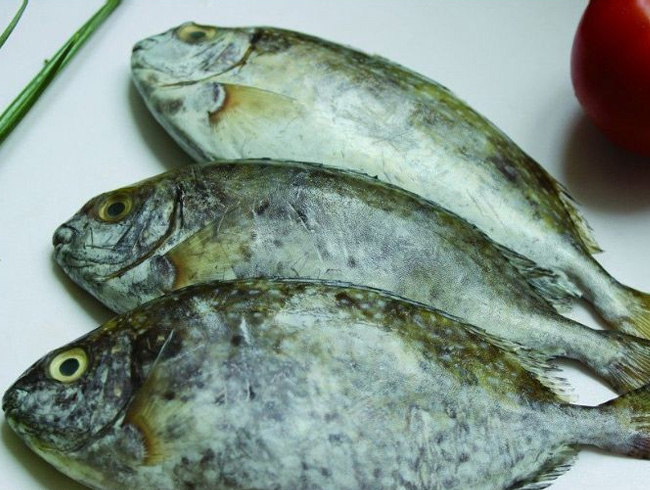 冰鮮泥猛魚(yú)